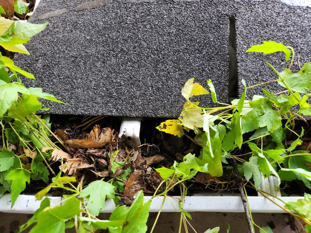 spring gutter cleaning