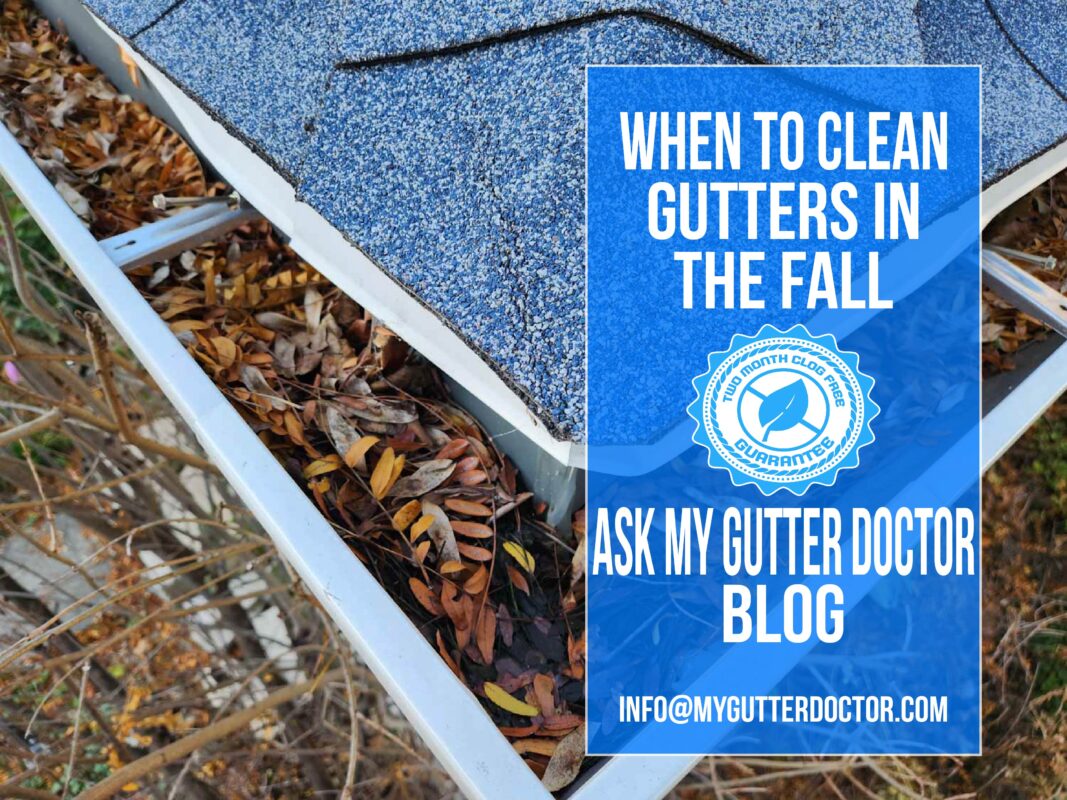 when to clean gutters in fall