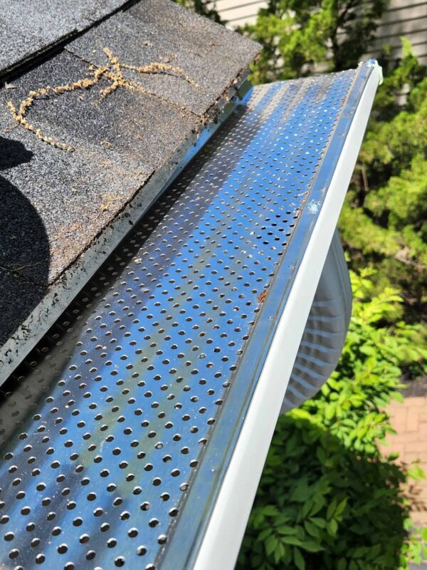 How to Unclog a Gutter: 7 Tips & Tricks - Home Grail