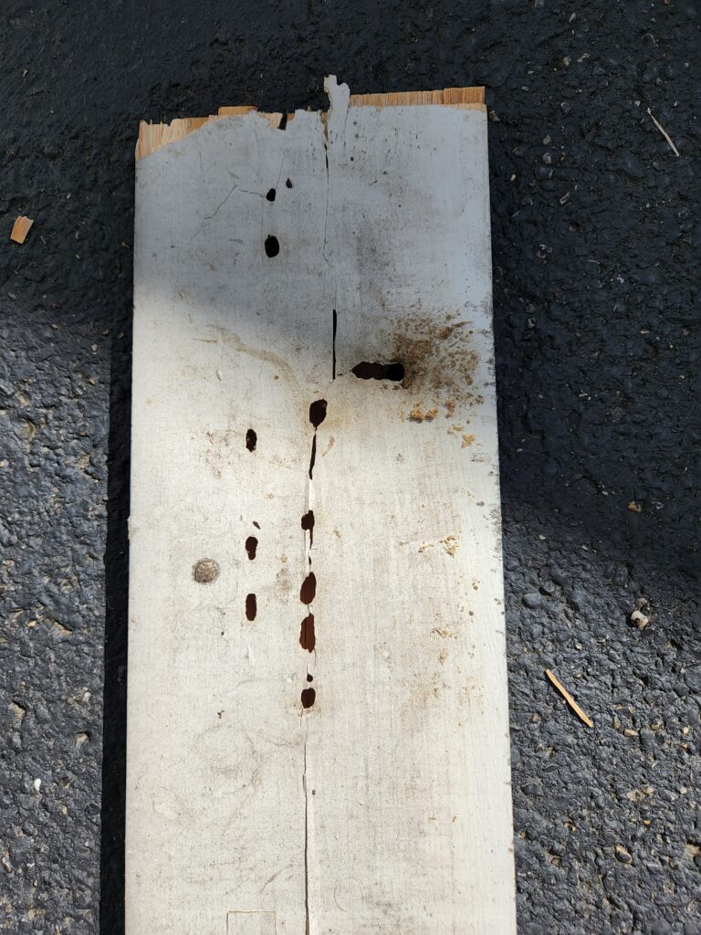 bee holes in fascia board