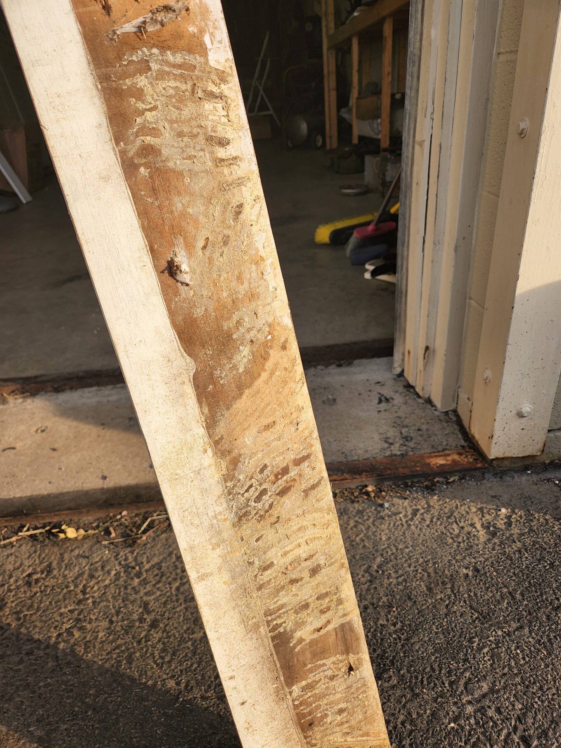 Bees In Fascia Boards How To Prevent Bees From Returning