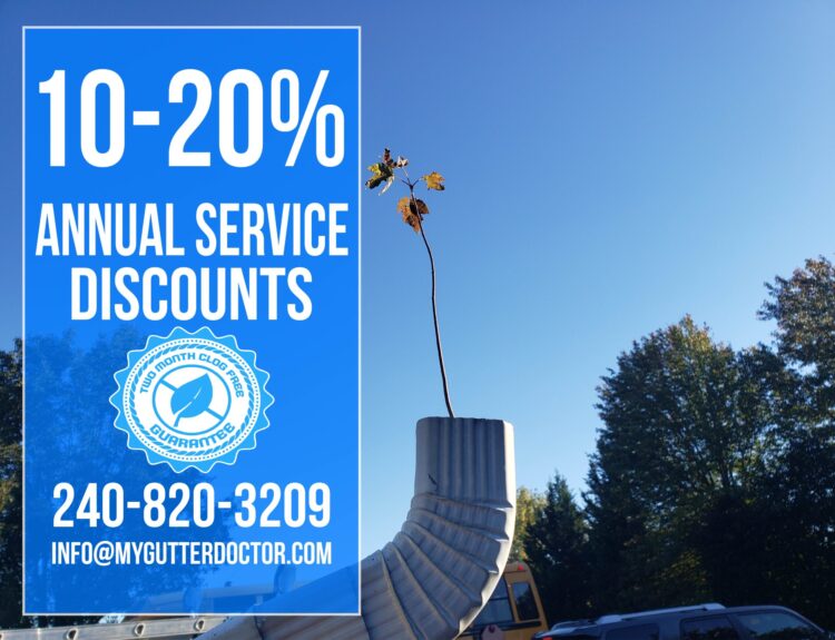 annual service discounts
