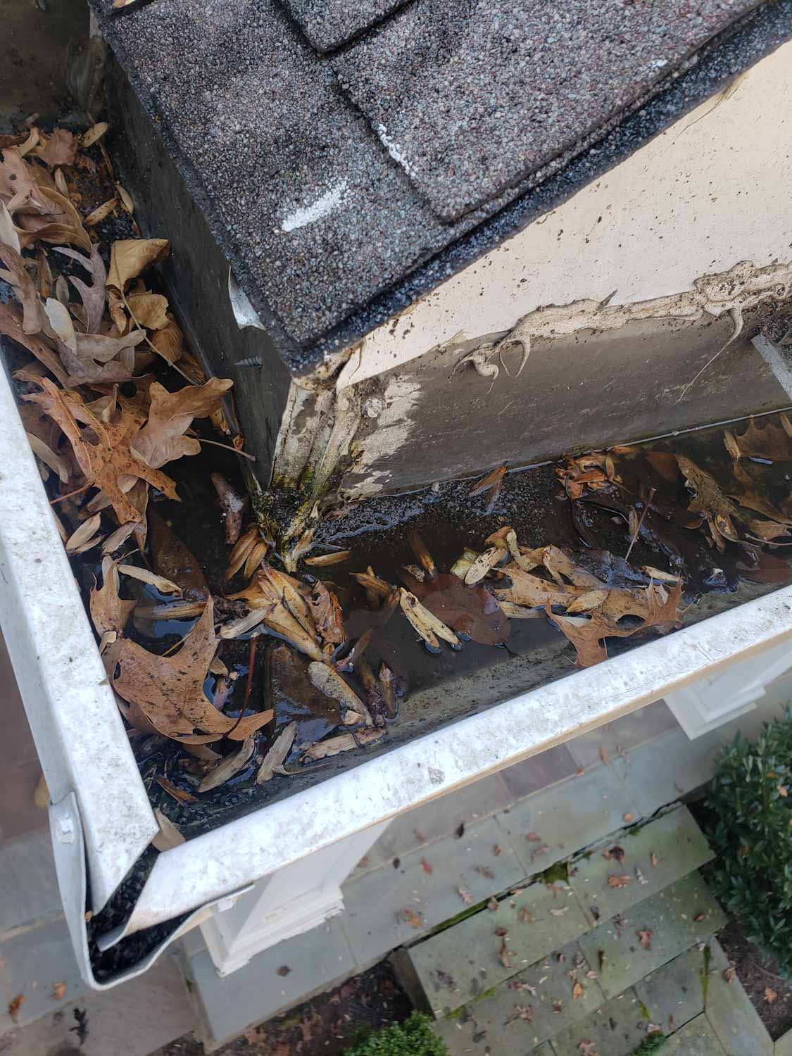 Gutter Corner Leaking Why Miters Leak & How To Fix