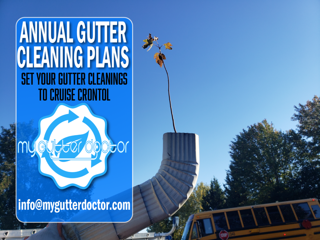 annual gutter cleaning