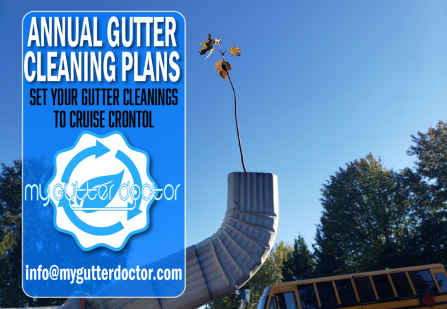 annual gutter cleaning service plans