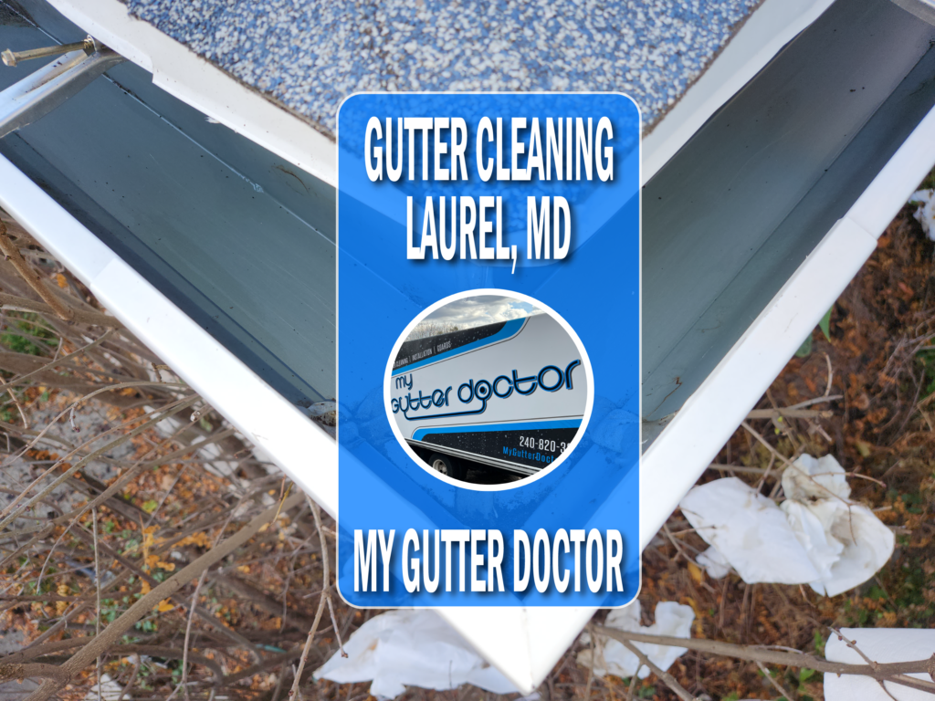 Professional Gutter Cleaning Services in Laurel, MD
