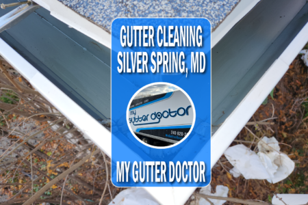 gutter cleaning in silver spring MD