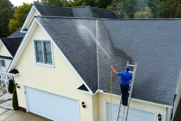 roof soft washing and treatment