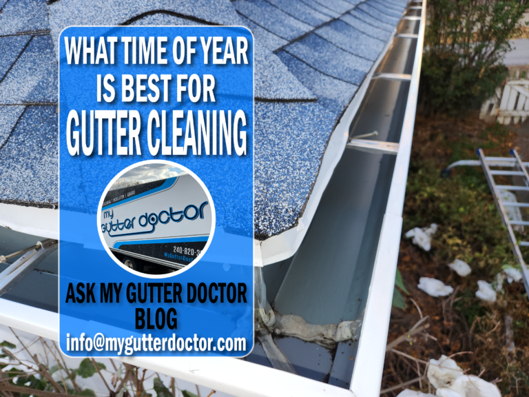 What Time Of Year Is Best For Gutter Cleaning? My Gutter Doctor