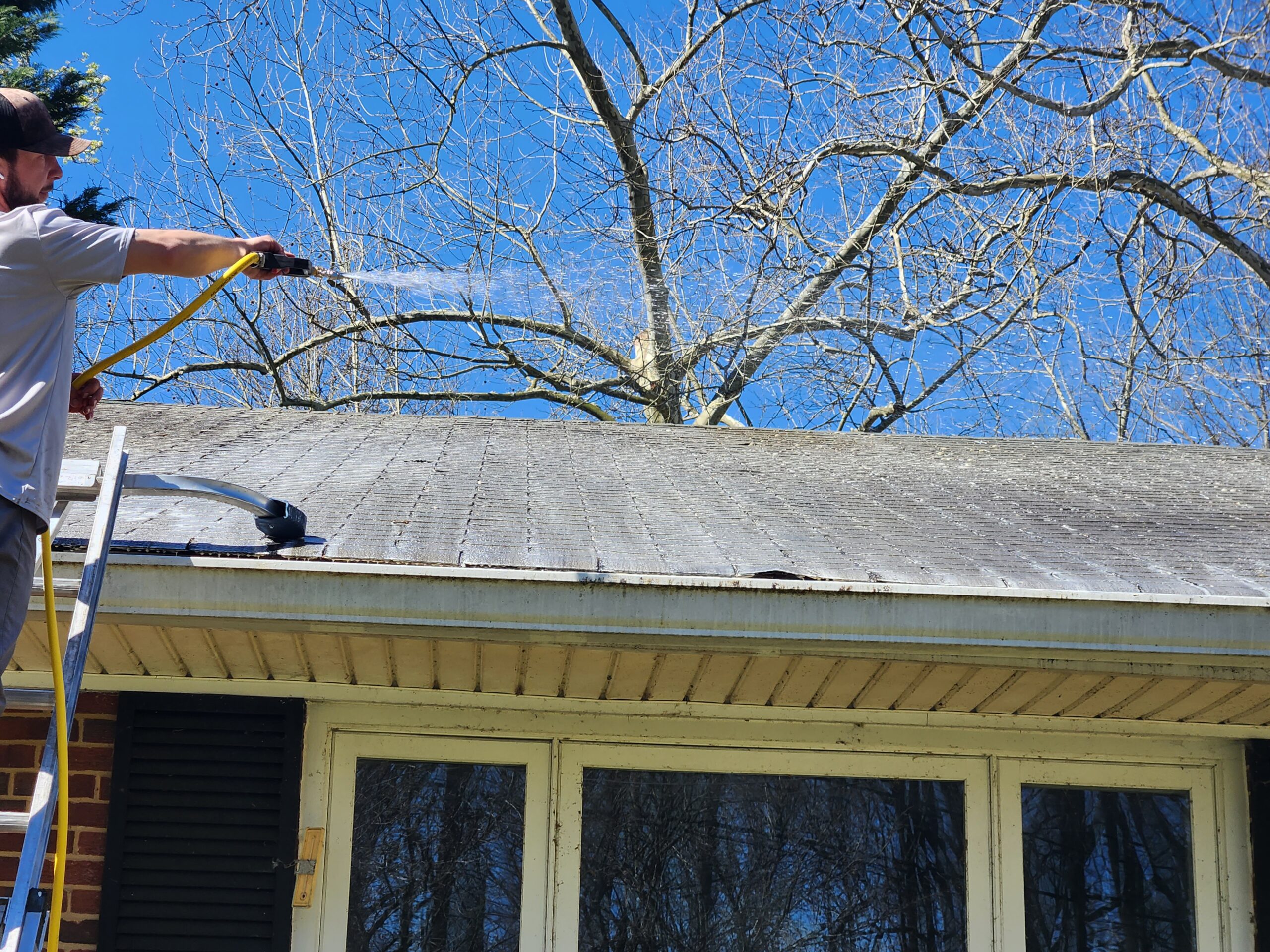 roof cleaning treatment