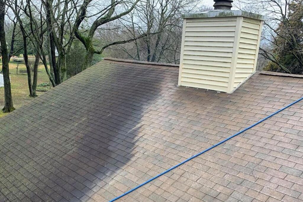 roof cleaning black streaks