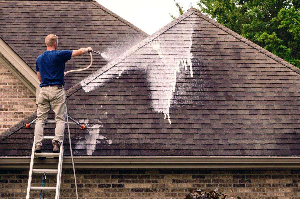 roof cleaning treatment