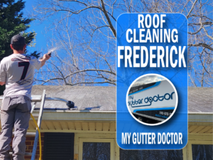 roof cleaning in frederick md