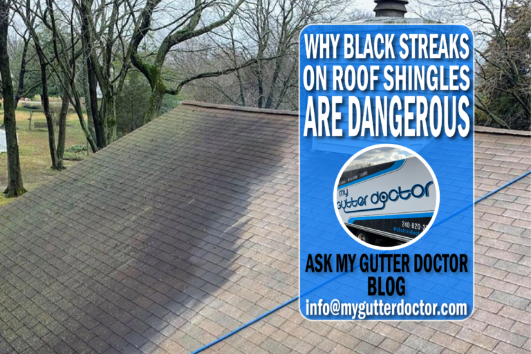 Why Black Streaks On Roof Shingles Are Dangerous Gloeocapsa