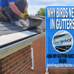 why birds nest in gutters