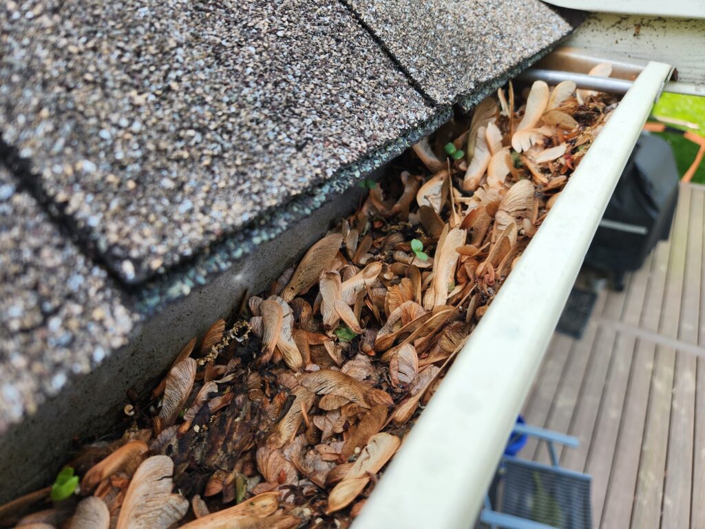 spring gutter cleaning service