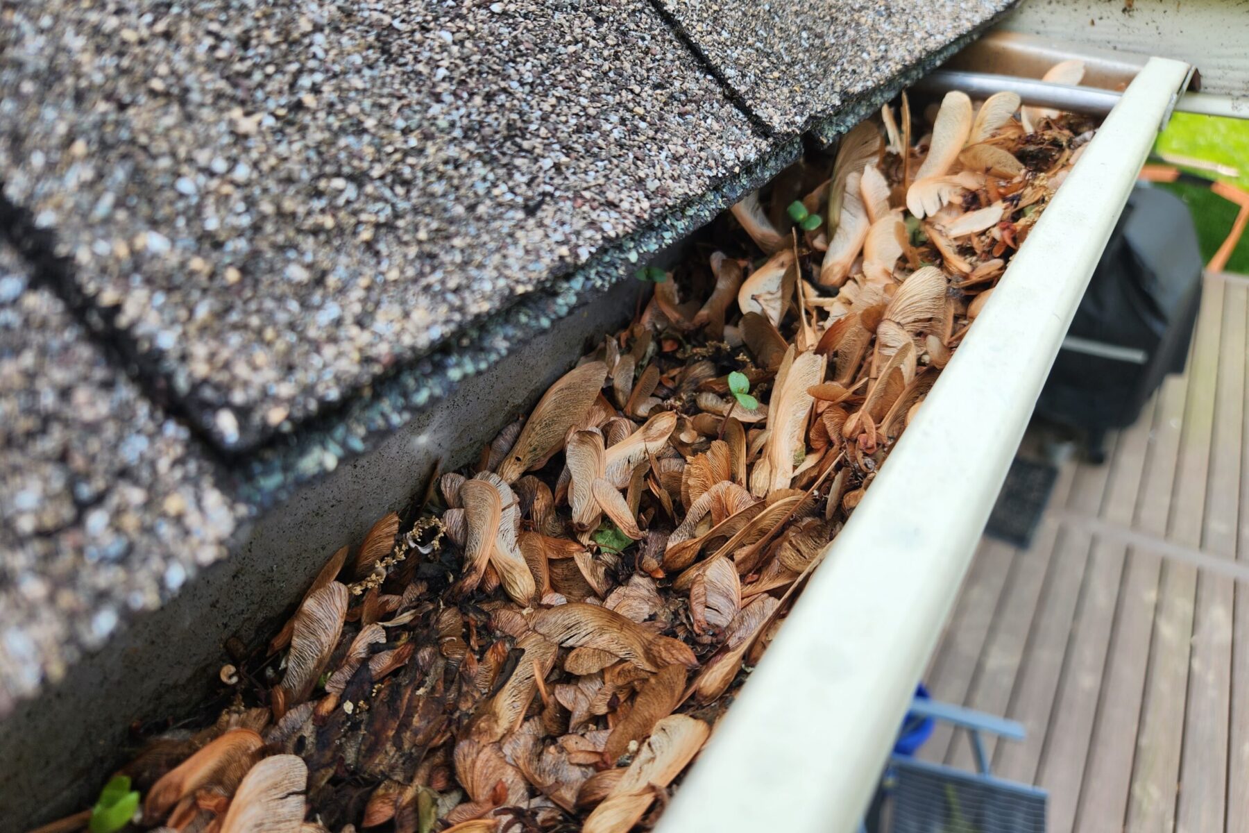 spring gutter cleaning service