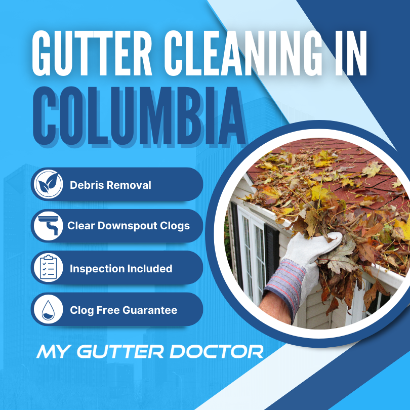 gutter cleaning service in columbia maryland