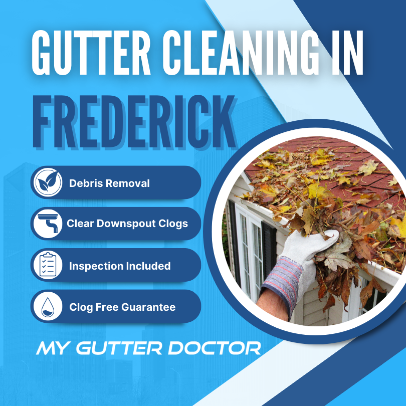 gutter cleaning service frederick county maryland