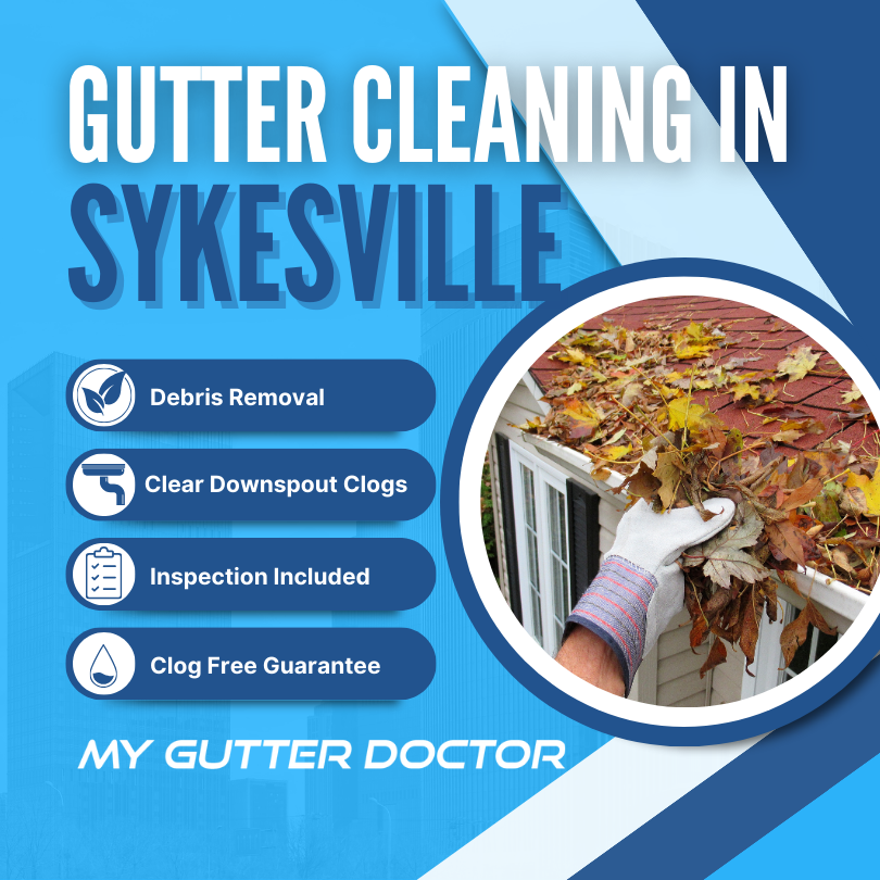 gutter cleaning service in sykesville maryland