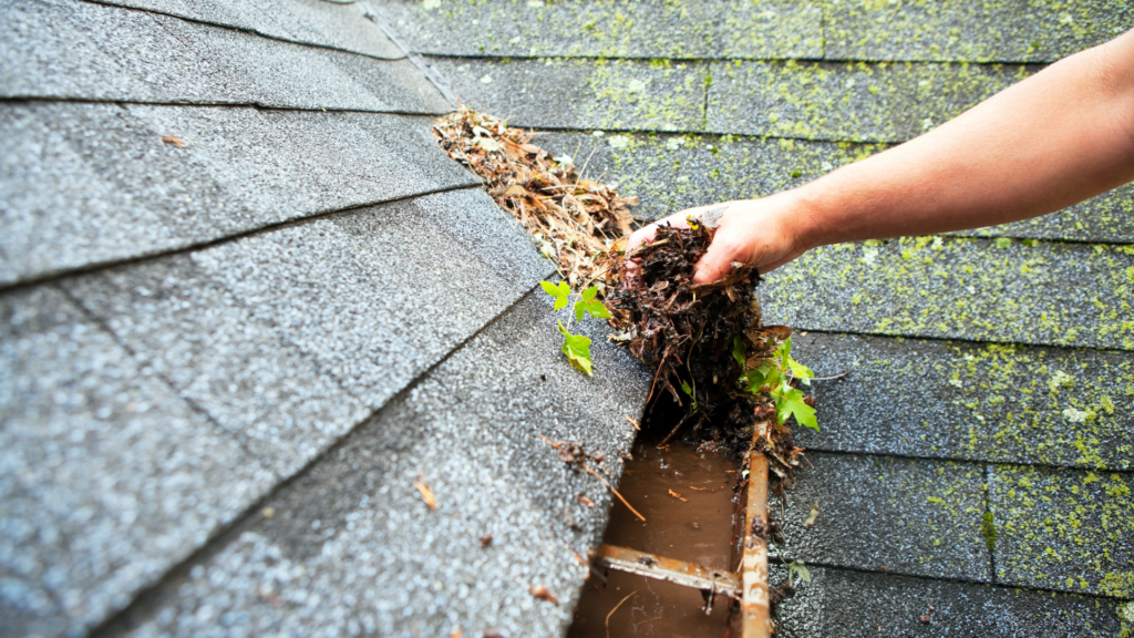 gutter cleaning services