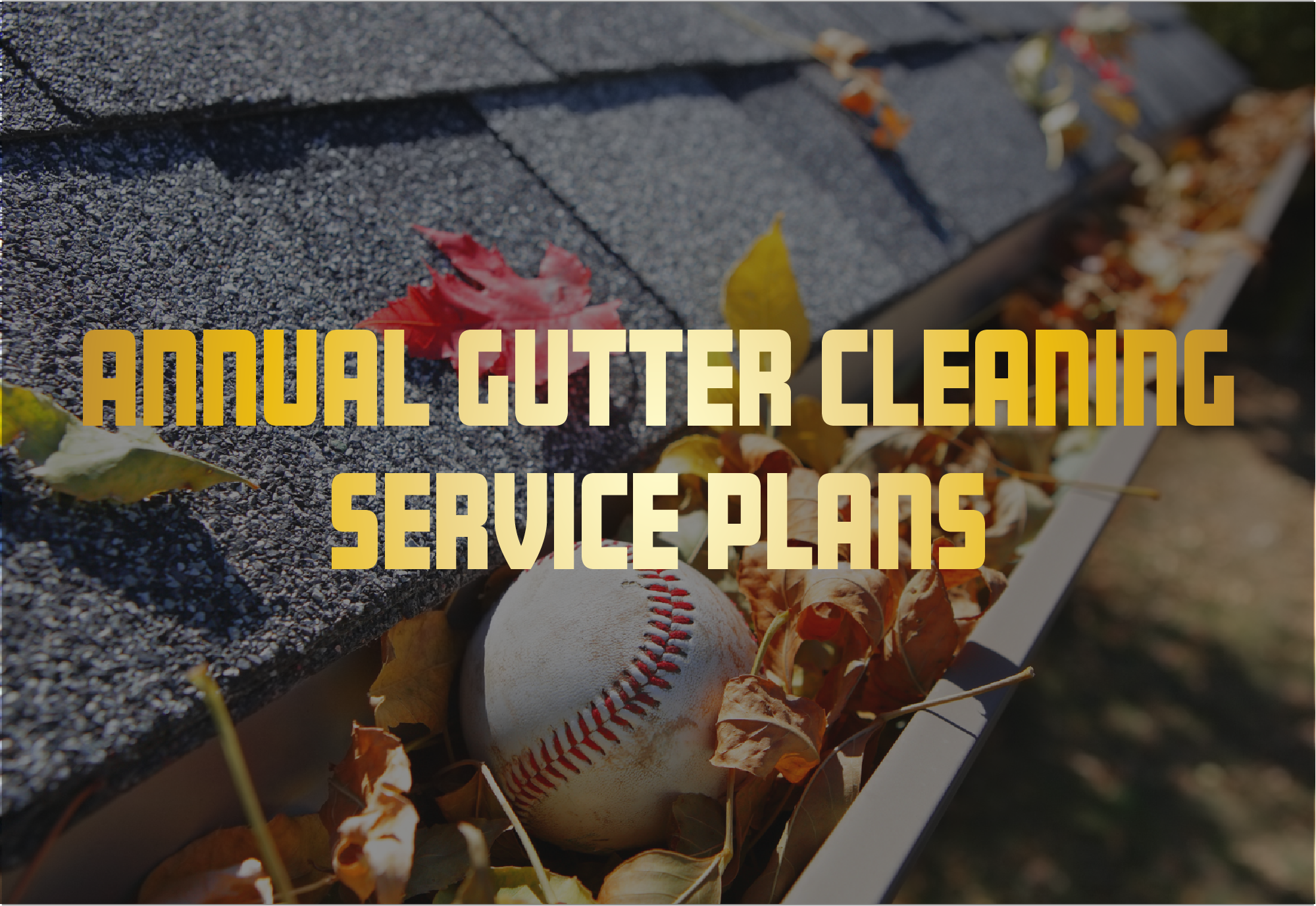 annual gutter cleaning service plans page link image