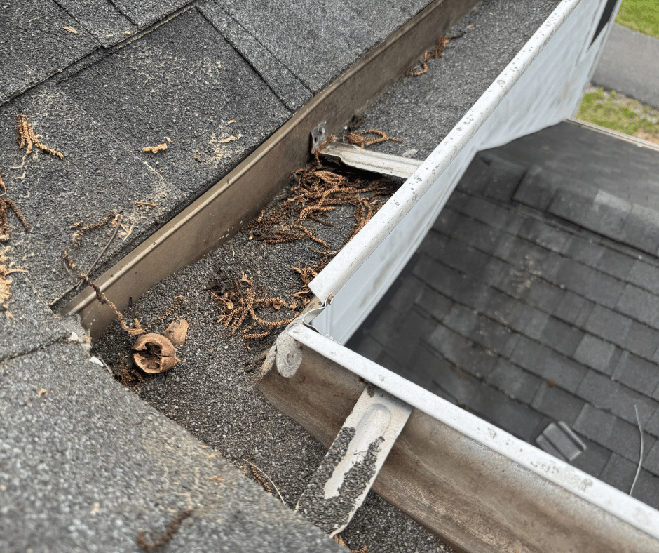 shingle grit pile in a sagging gutter corner
