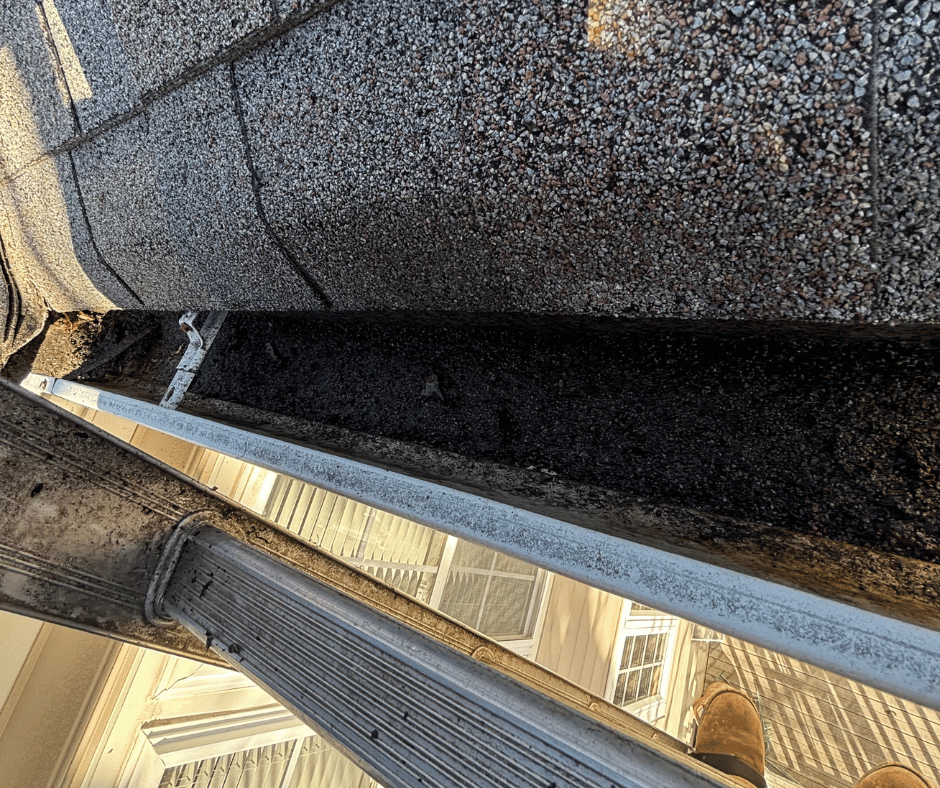 shingle grit accumulating in the gutter corner