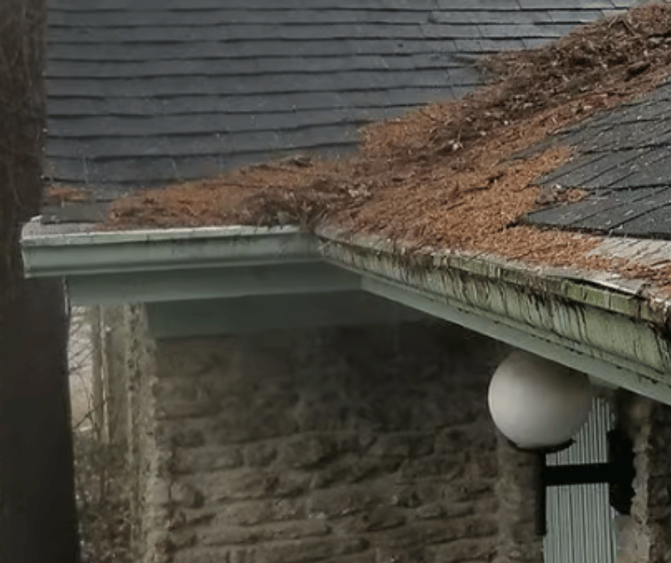 pine needle accumulation along roofing eave and micro mesh gutter guards
