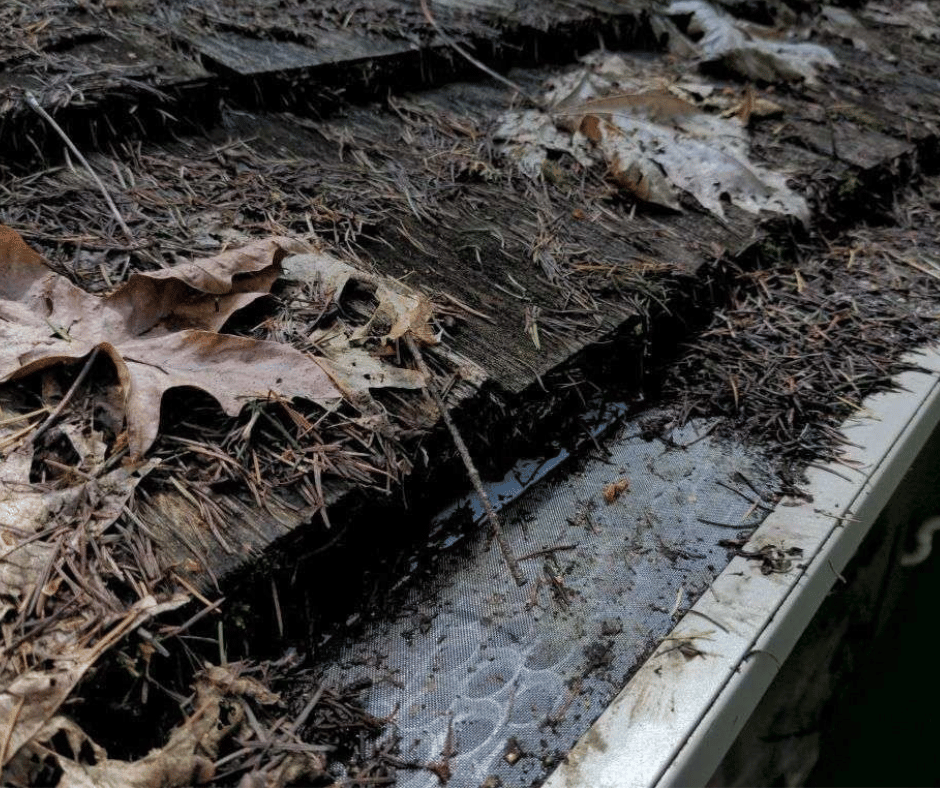 pine needles collecting on micro mesh gutter guard and roofing eave