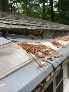 micro mesh gutter guards with gaps that pine needles are able to use to enter the gutter