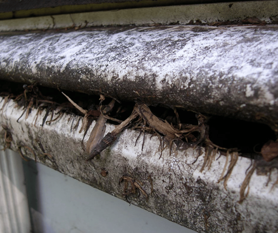 gutter with helmet cover clogged with debris
