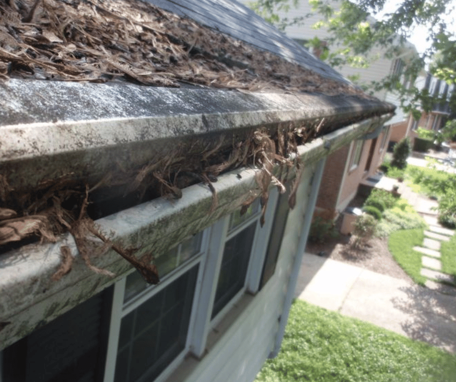 reverse curve gutter guard clogged by maple seed pod helicopters across the front opening