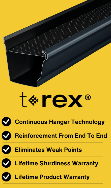 t-rex continuous hanger bullet point card
