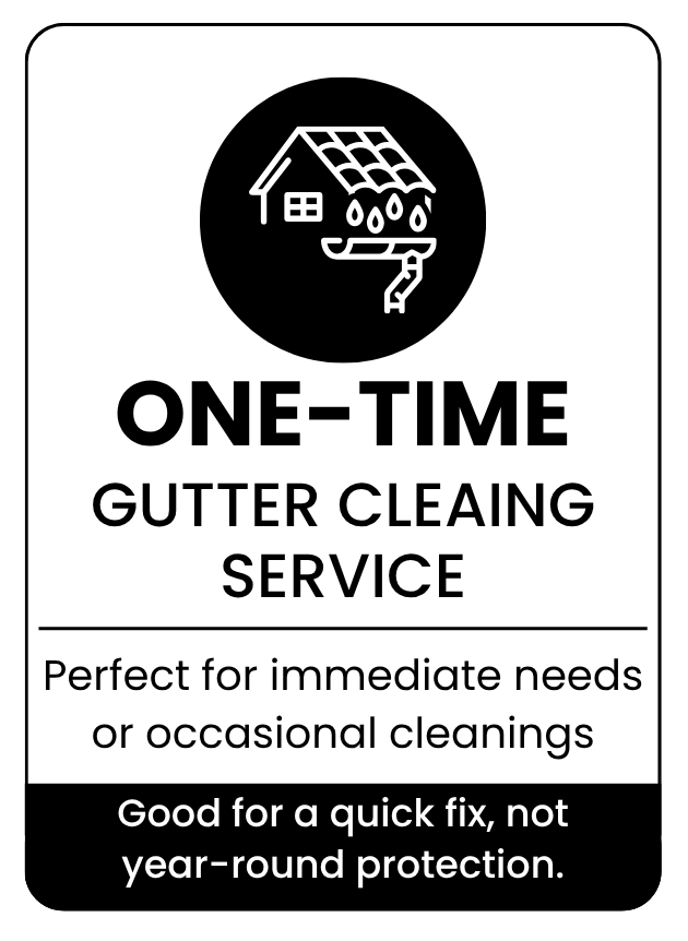 one time gutter cleaning service card large size