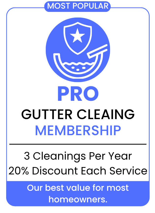 pro gutter cleaning membership card size large blue
